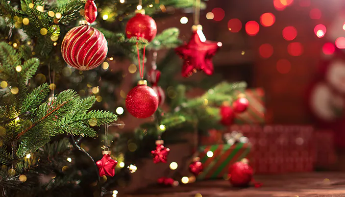 Bring on the sparkle this season and create a festive wonderland with our Christmas decorations range