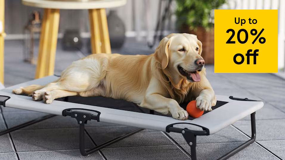 Up to 20% off pet care